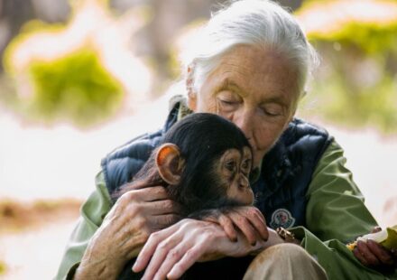 When Jane Goodall Destroyed Elon Musk