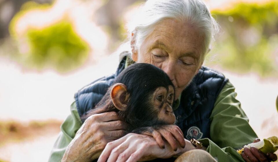 When Jane Goodall Destroyed Elon Musk