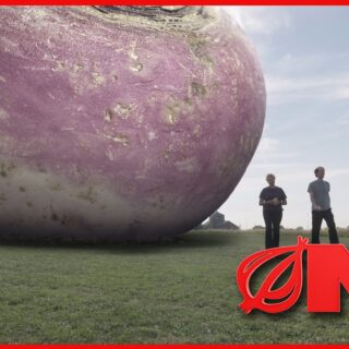 USDA Replaces Food Stamps With One Giant Rutabaga USDA Replaces Food Stamps With One Giant Rutabaga
