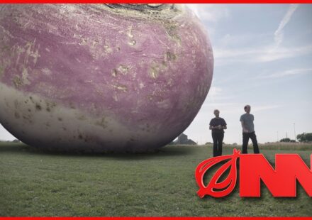 USDA Replaces Food Stamps With One Giant Rutabaga