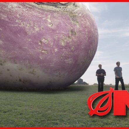 USDA Replaces Food Stamps With One Giant Rutabaga