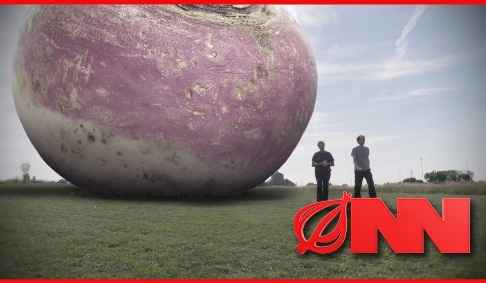 USDA Replaces Food Stamps With One Giant Rutabaga